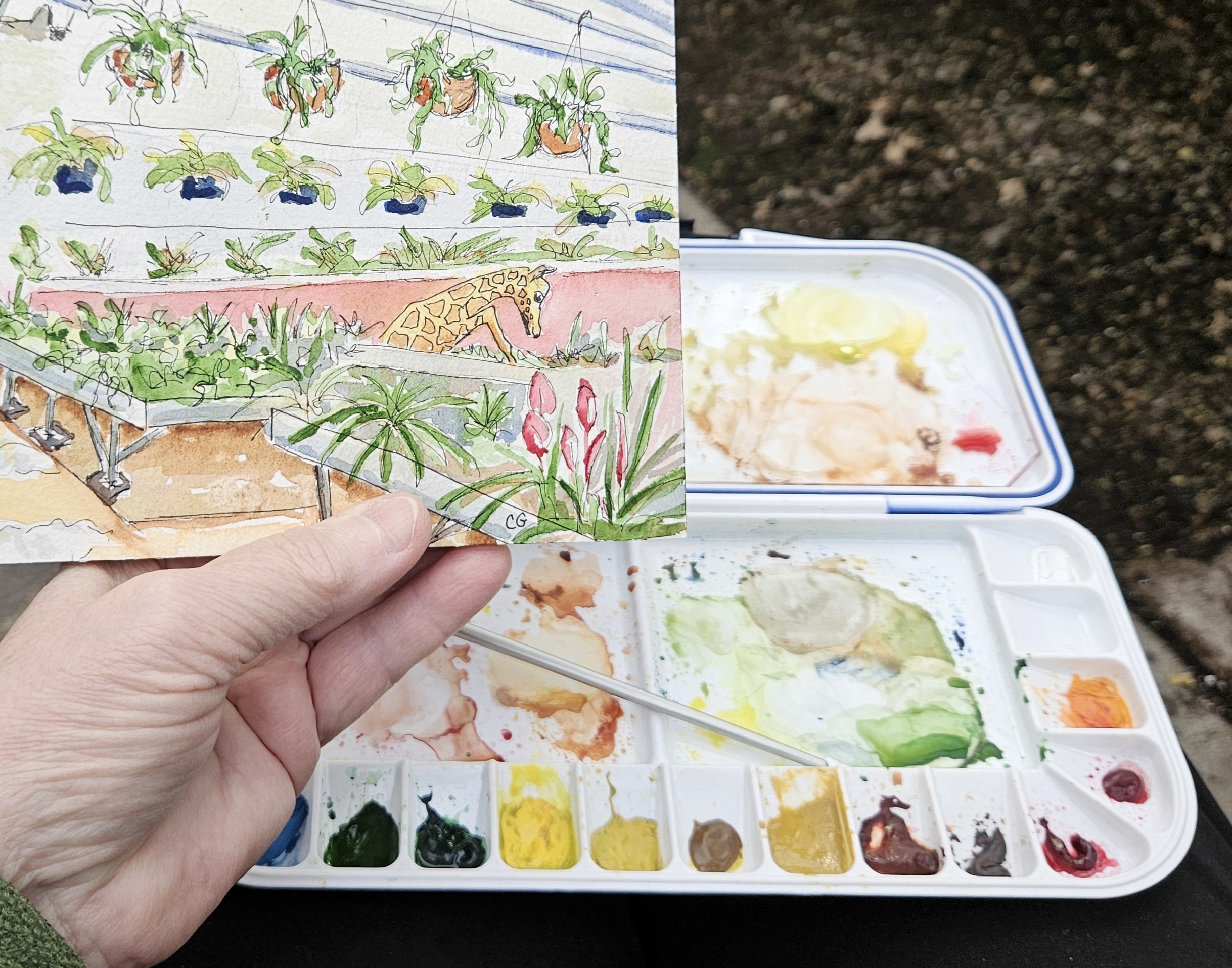 early stage of a sketch and the palette
