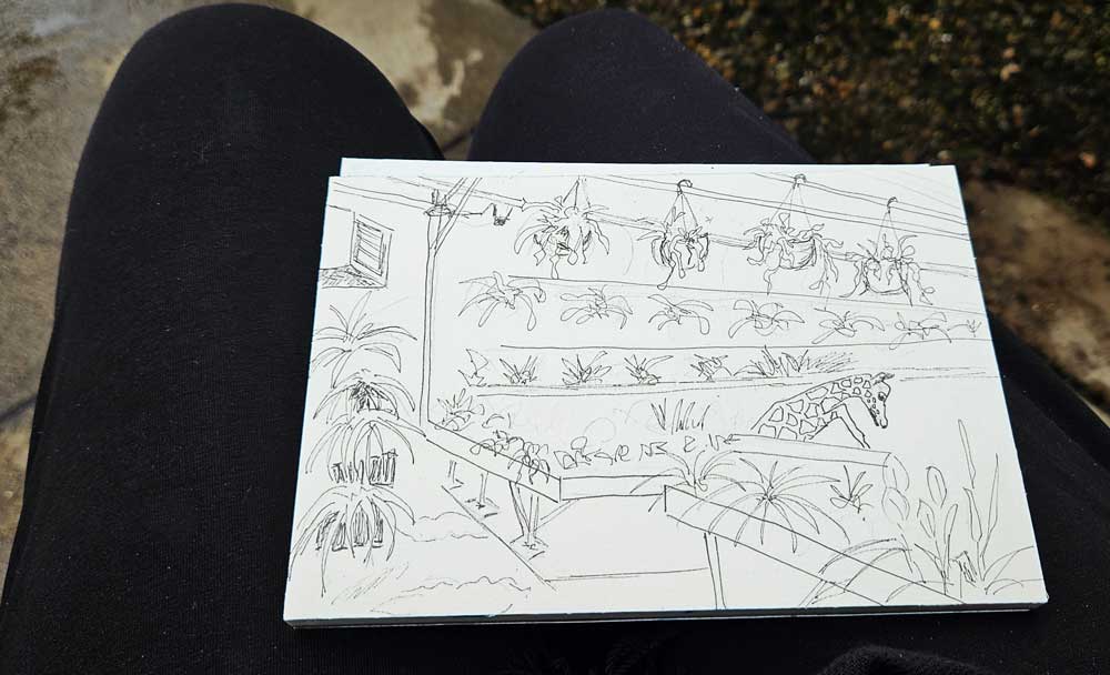 pencil sketch of greenhouse on lap